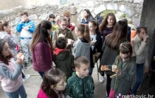 cevrtalji2018-11