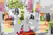 prva-pricest-2019-006