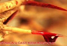 DEVETNICA U ČAST KRVI KRISTOVE